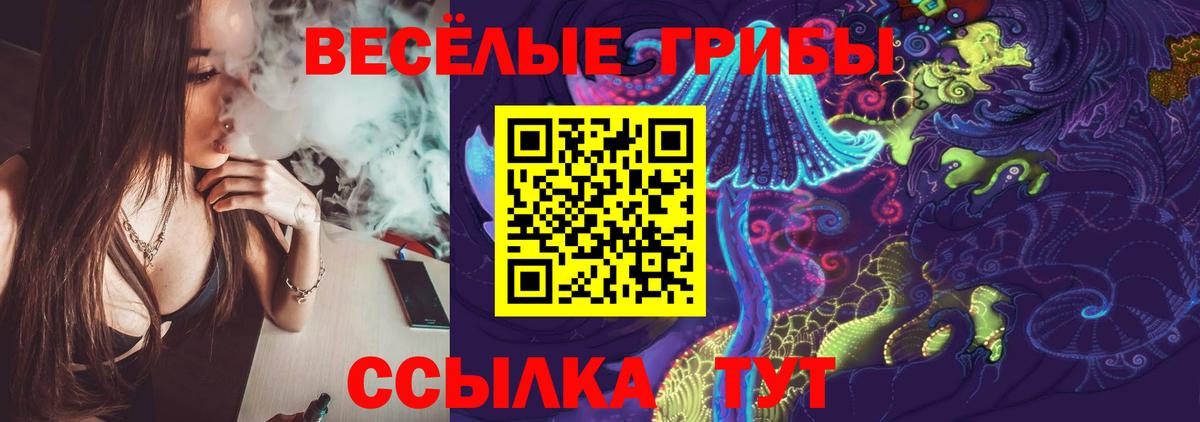 Псилоцибиновые грибы GOLDEN TEACHER  Галлюциногенные грибы Psilocybine cubensis  Удомля  Вход с VPN 