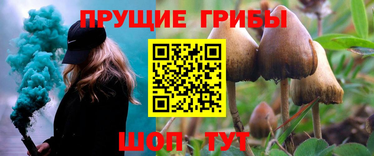 Галлюциногенные грибы прущие грибы Удомля